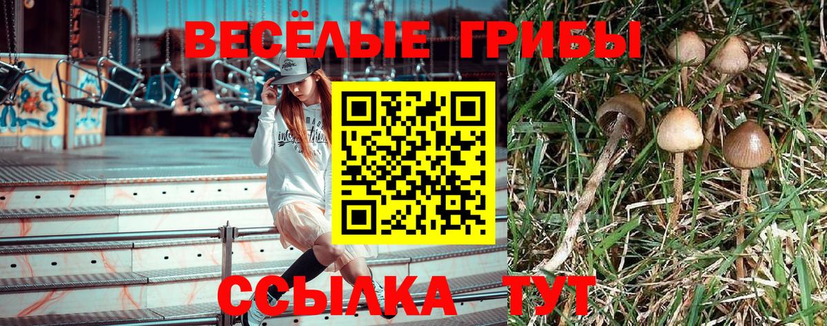 Галлюциногенные грибы мицелий  Вход с VPN  наркотики  Ишимбай 
